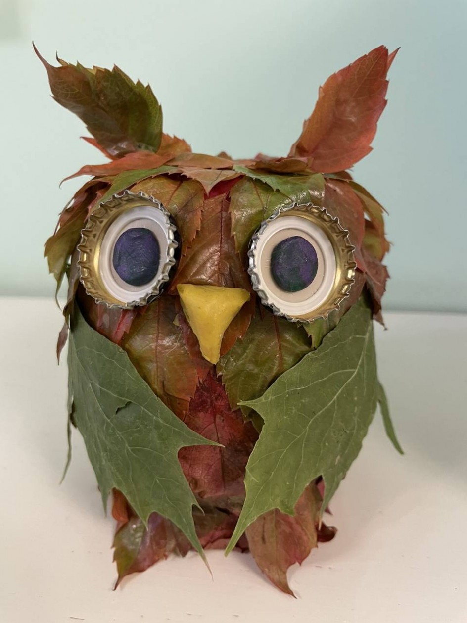 "Осенняя сова"