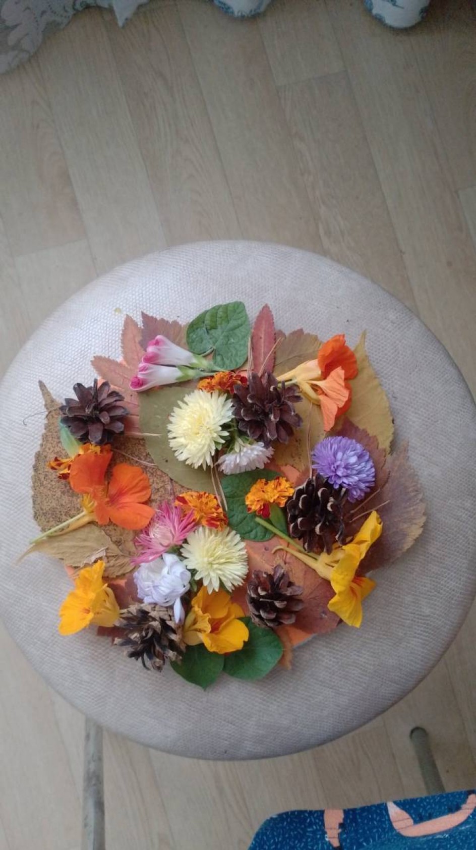 " Осенний сюрприз"