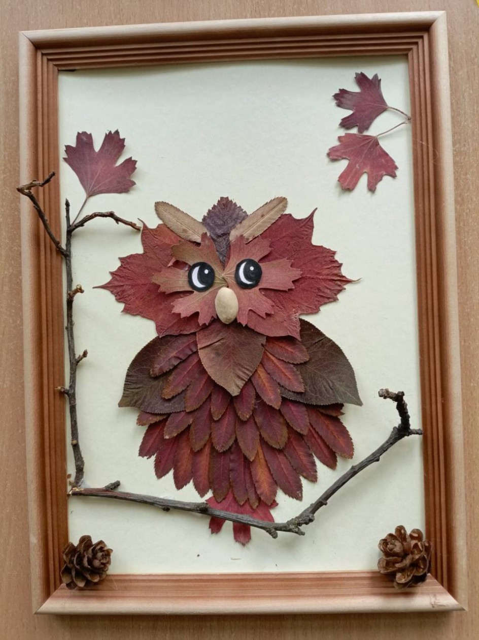 " Мудрая сова"