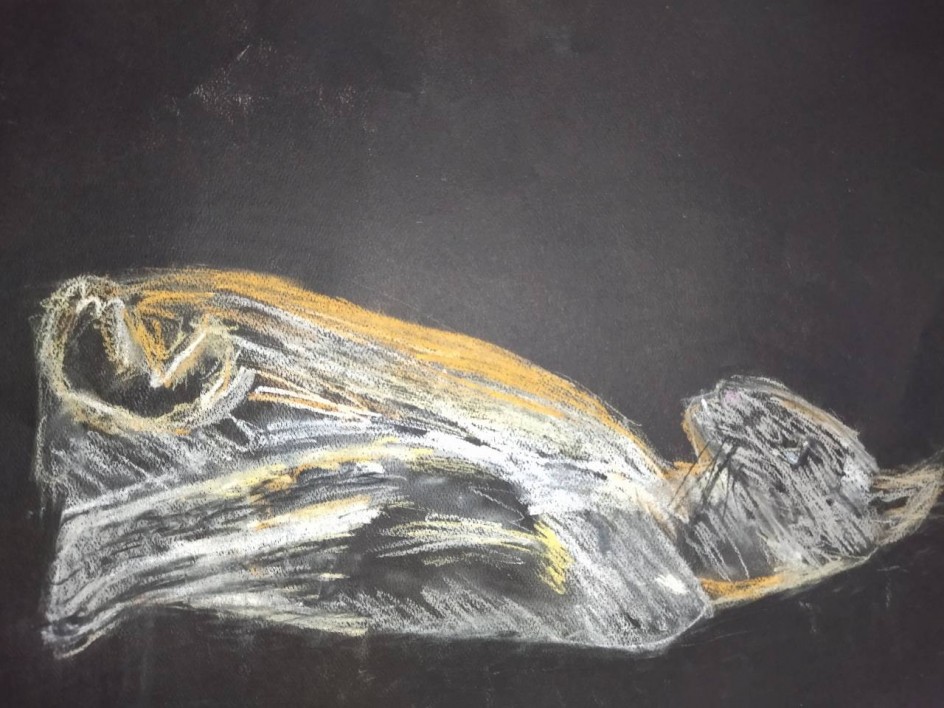 Кошка ночью