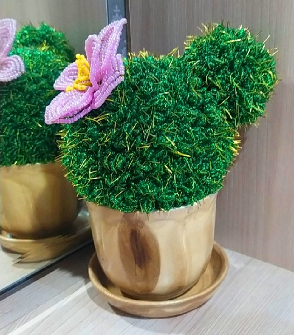 Кактус