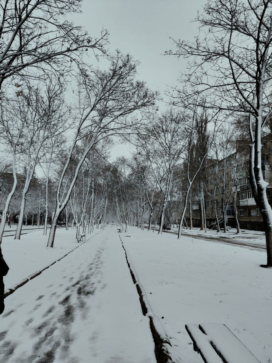 Начало зимы