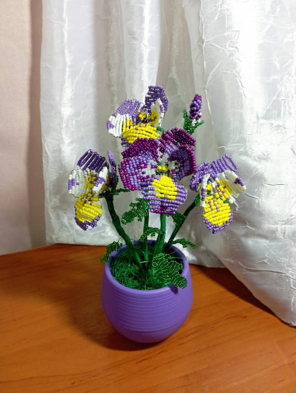 Анютины глазки