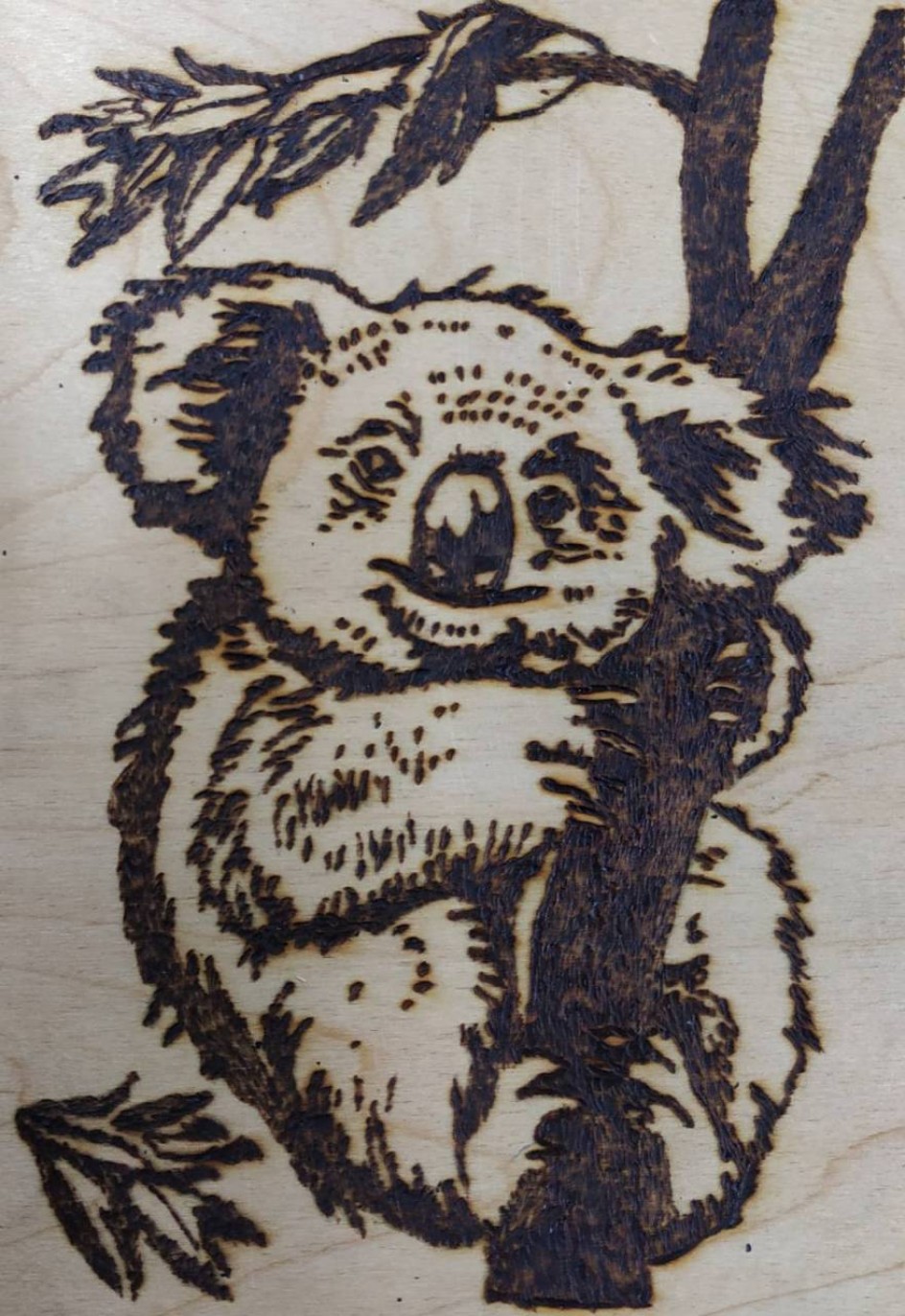 "Коало"