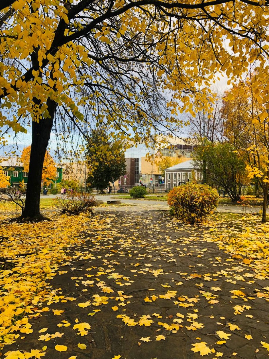 Октябрь в Петрозаводске