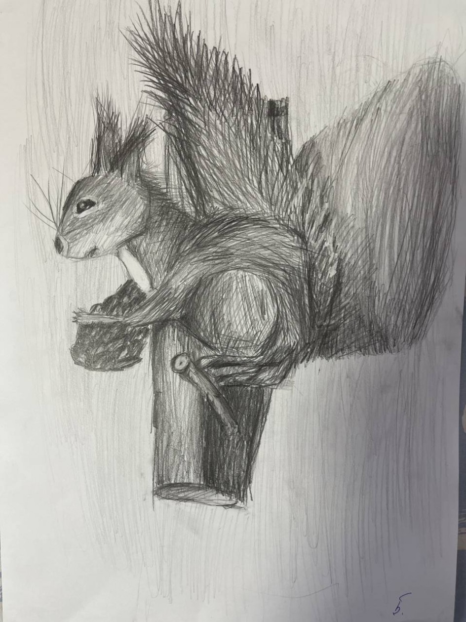 Белка