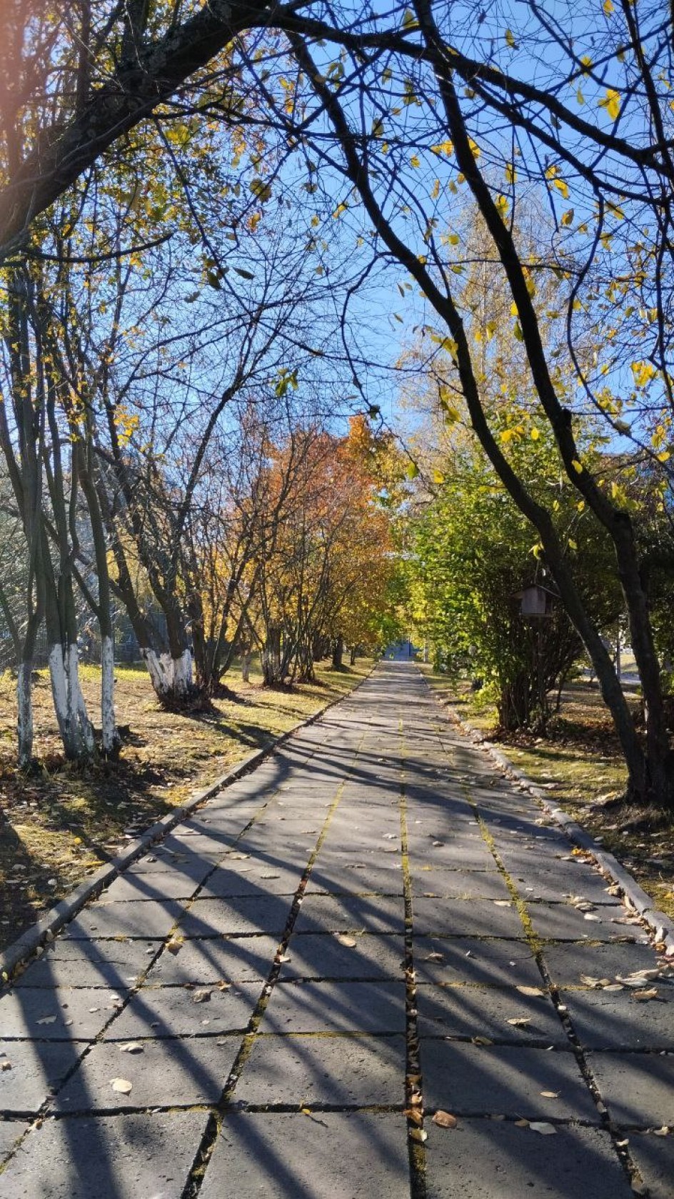 Аллея