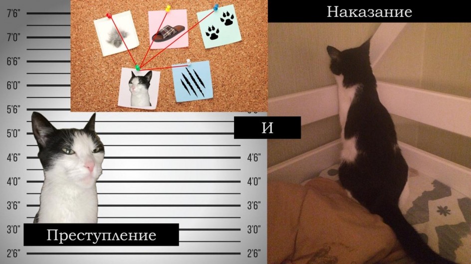 «Преступление и наказание»