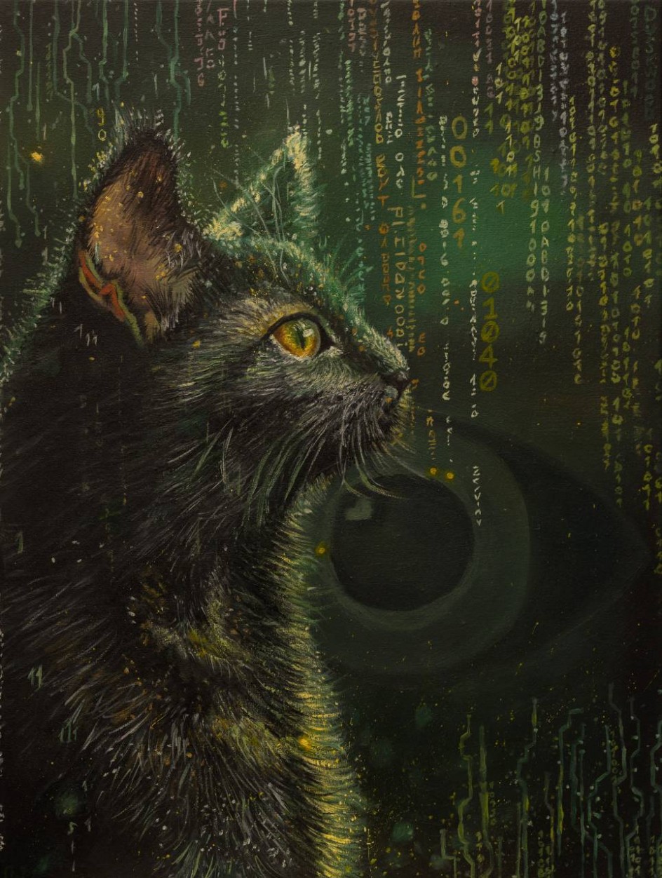"Кошачий взгляд"