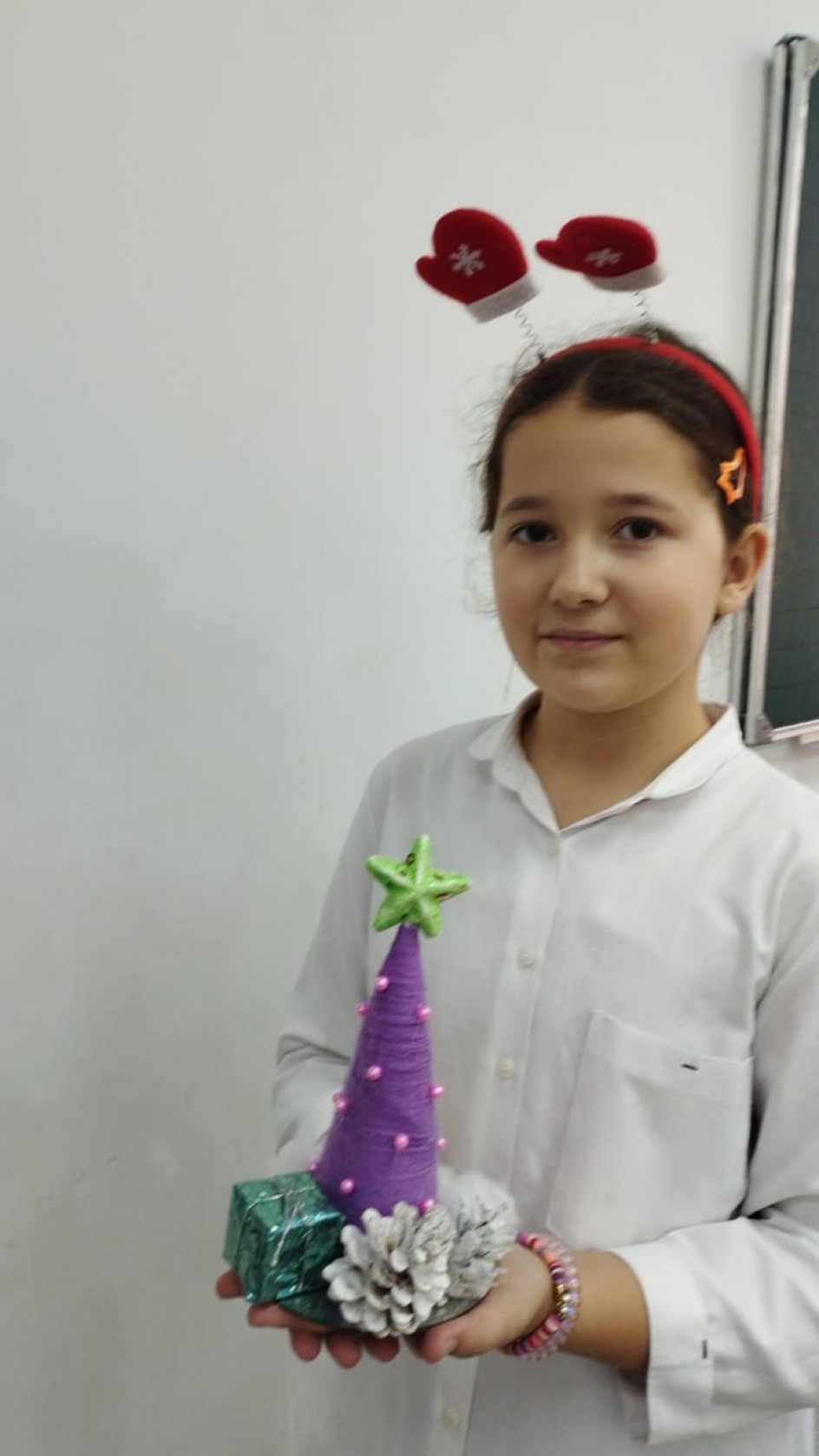 "Новогодняя красавица"