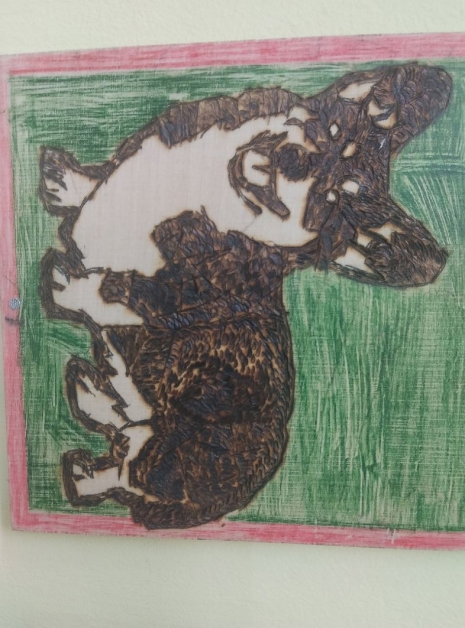 Корги