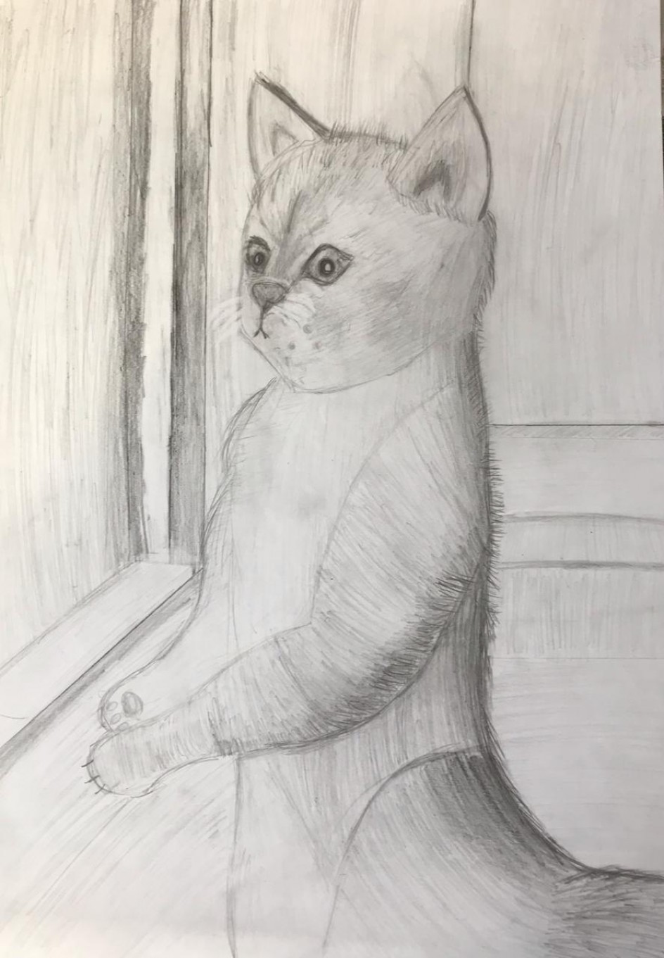 «Кошки разные нужны, кошки всякие важны…»