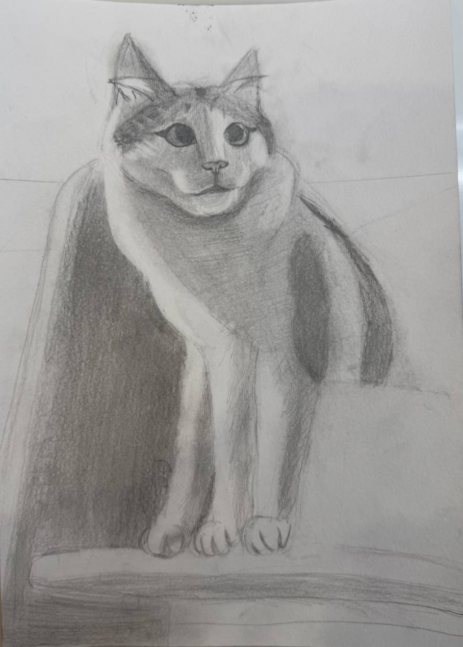 Котик Монти - счастливый кот.
