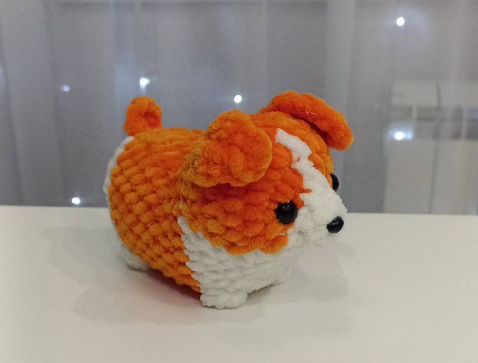 Корги