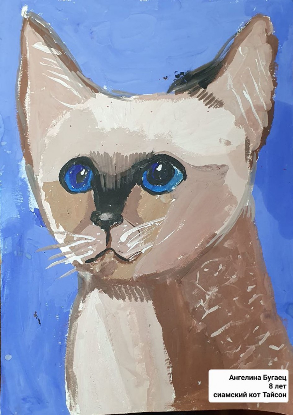Котик Тайсон