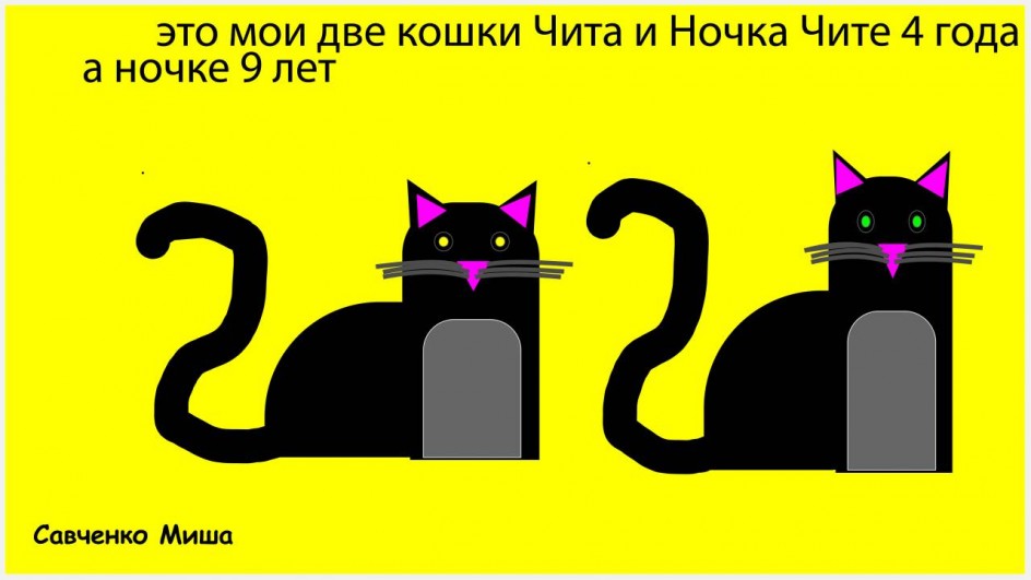Чита и Ночка