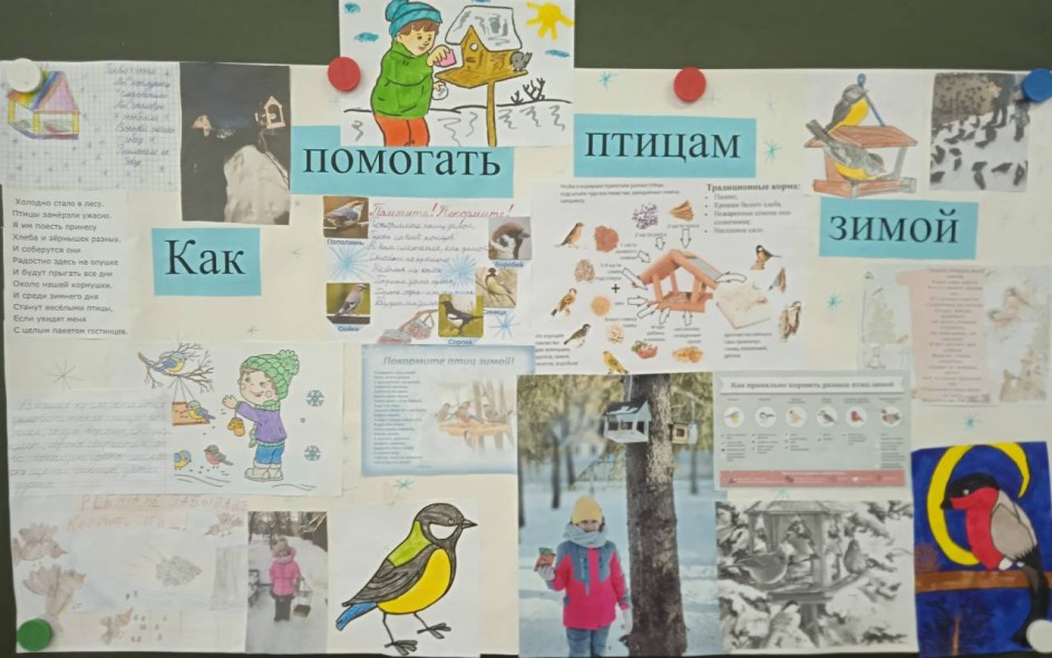 Стенгазета "Помогите птицам зимой"