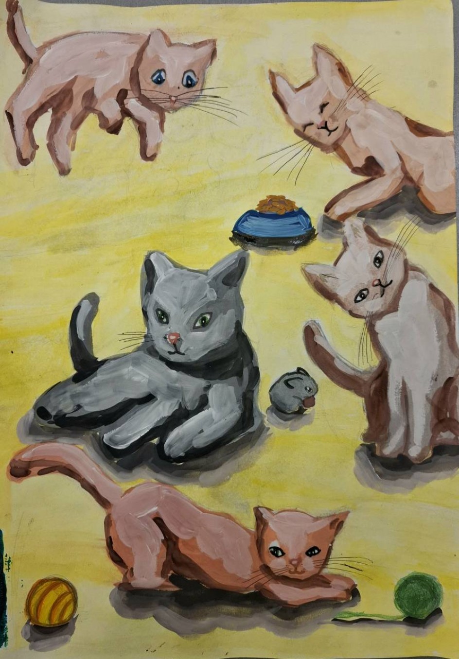 Котики