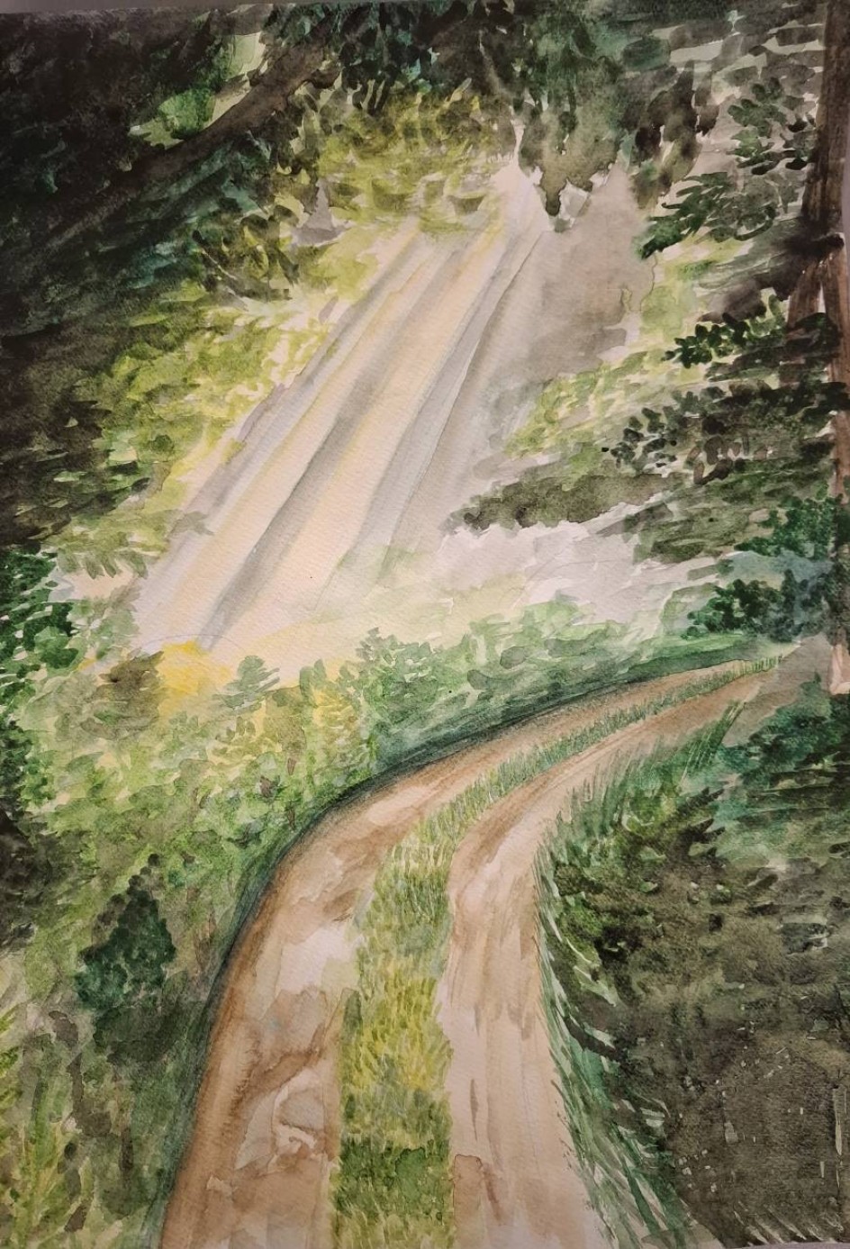 Красота природы
