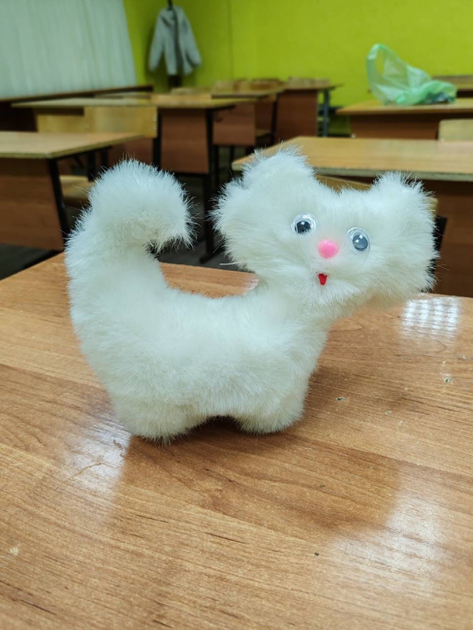 Котенок Снежок