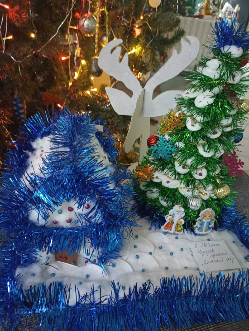 Зимний сад