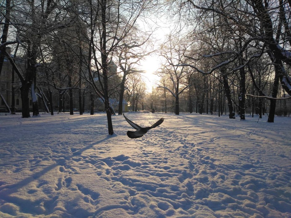 Прекрасное рядом