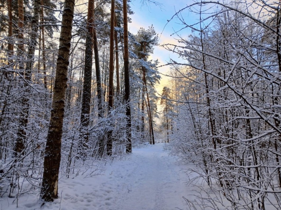 "Зимняя дорожка"