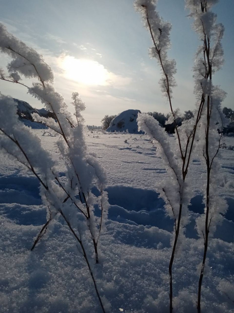 Украшение зимы