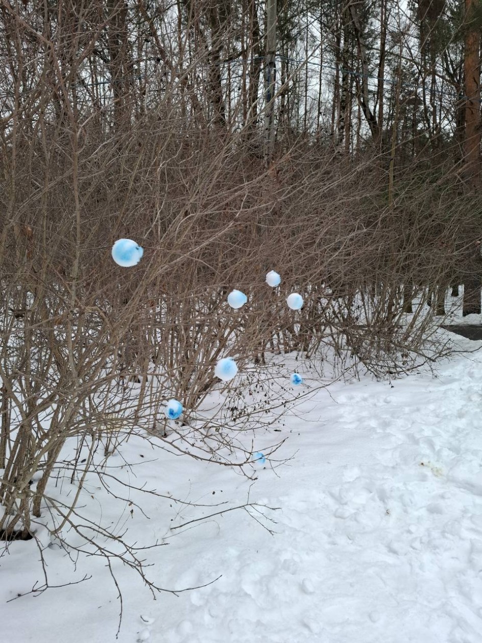 "Зимнее вдохновение"
