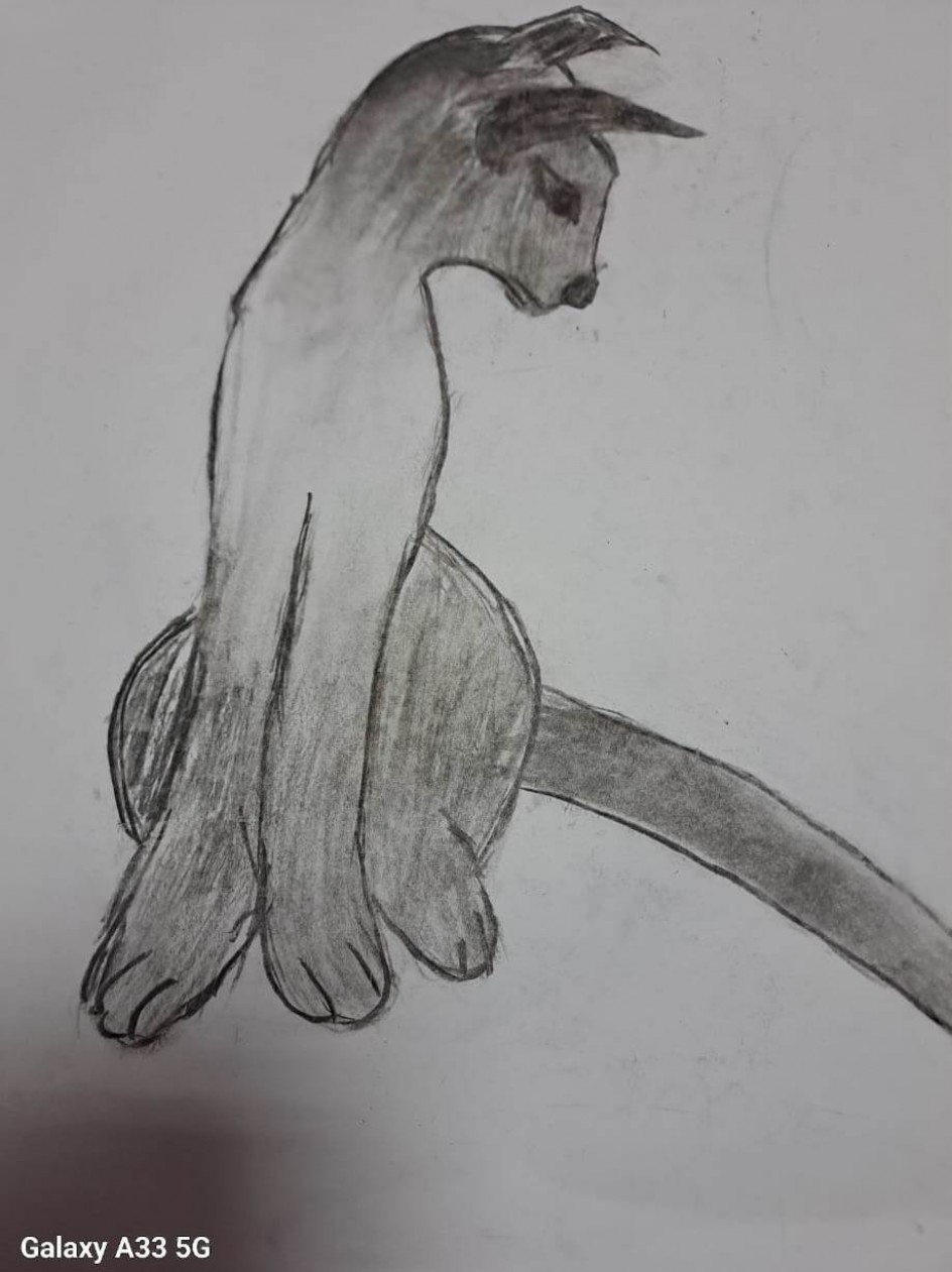 Кошка  Шмындра