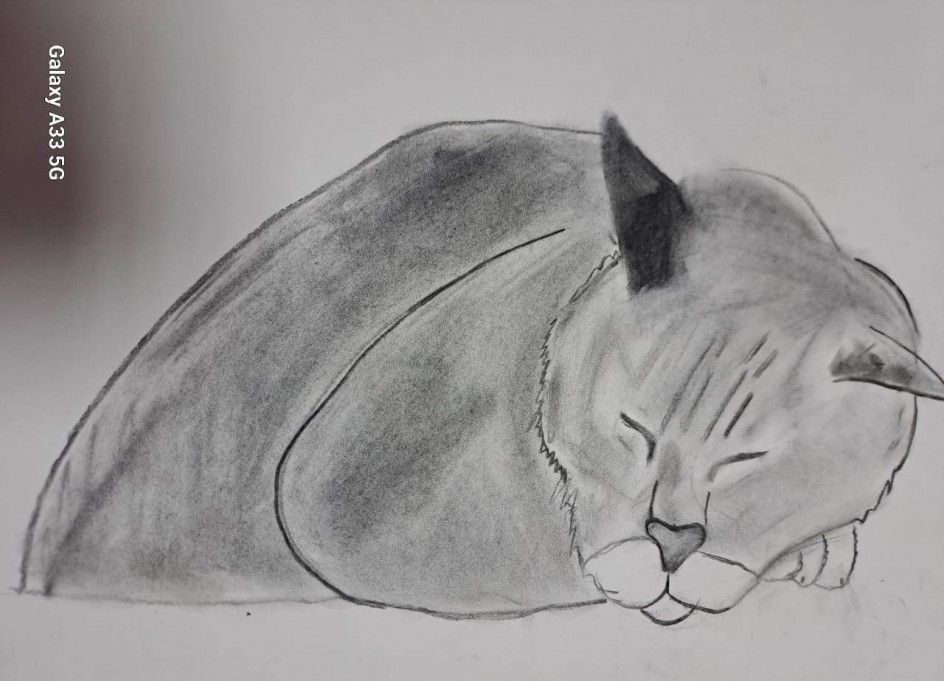 Мой котофеич
