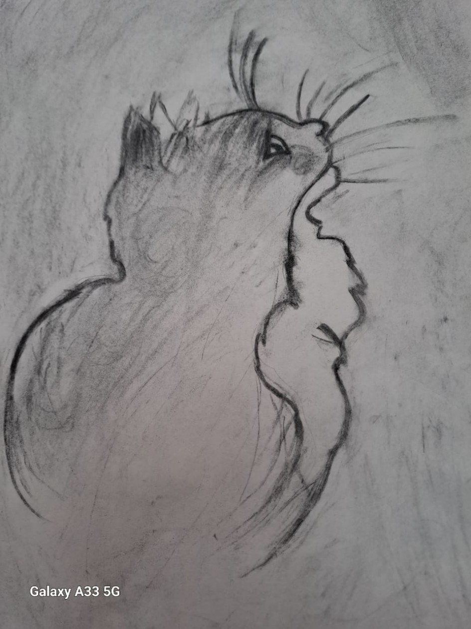 Мой котенок