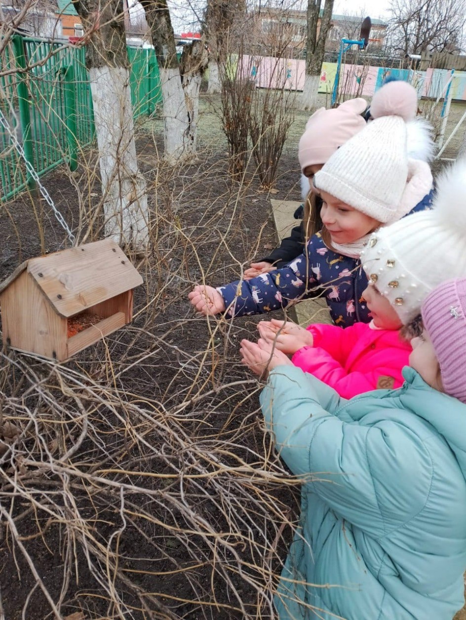 Жизнь пернатых зимой