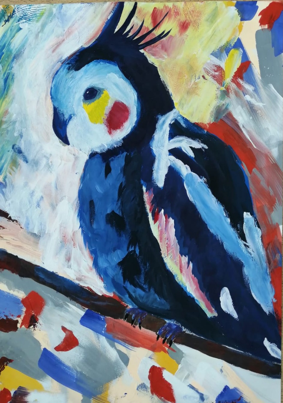 Коала