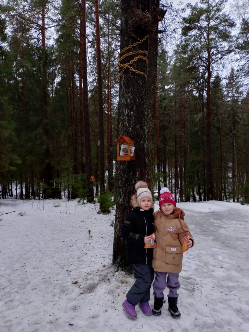 "Зимняя прогулка"