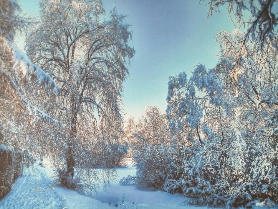 Зимушка
