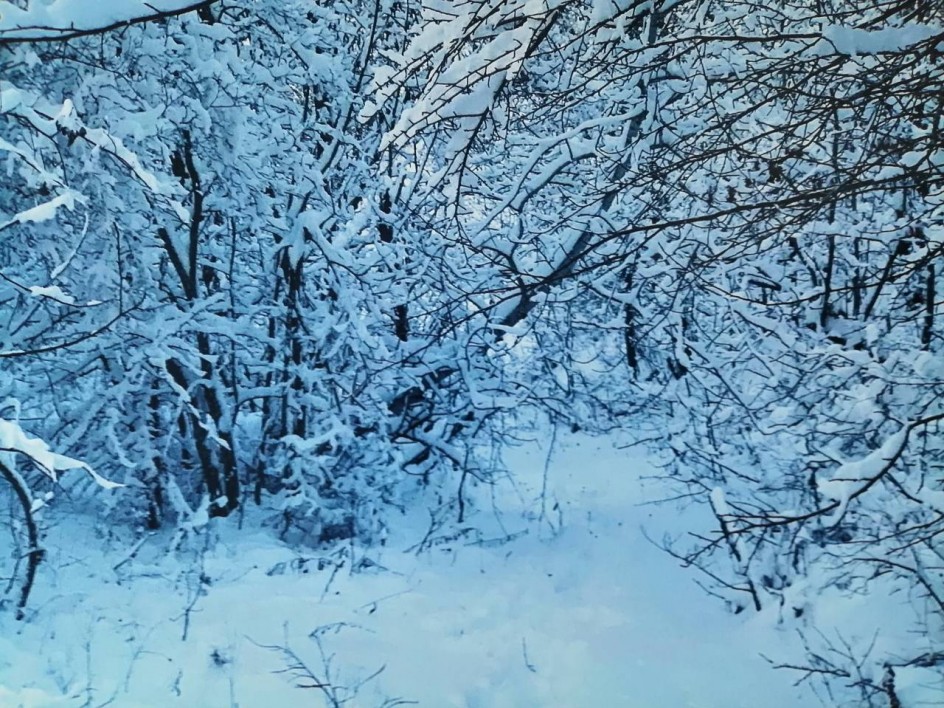 Зимнее