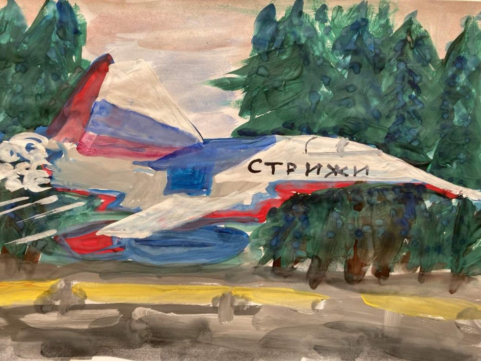 "Стрижи": птицы высокого полета