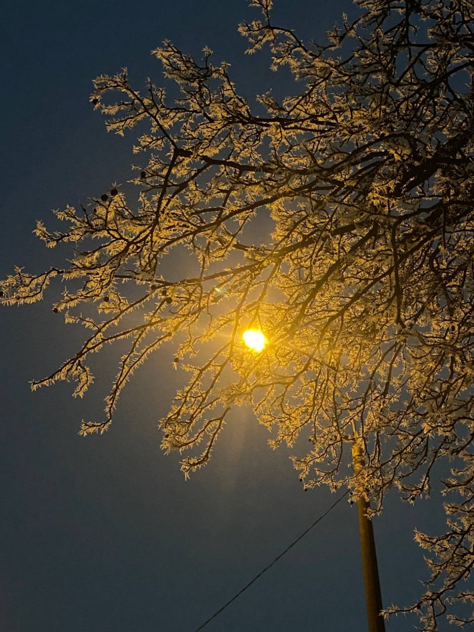 Морозное утро