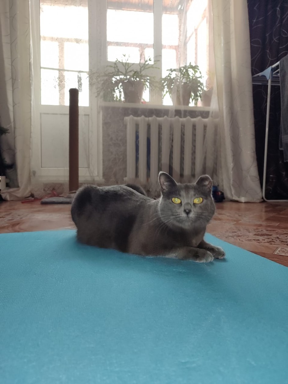 На спорте