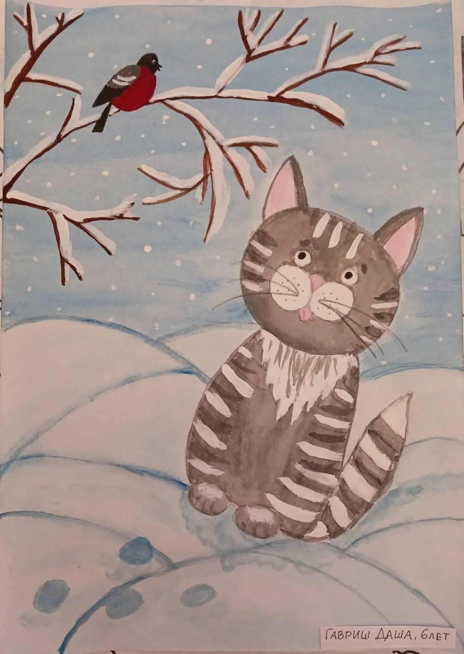 Милый котик