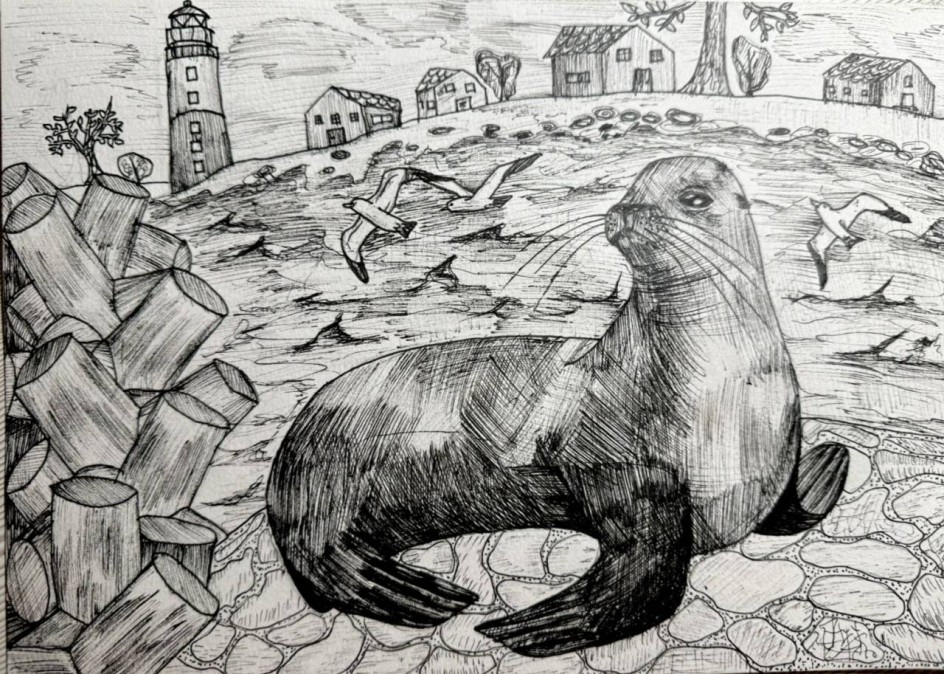 Морской котик