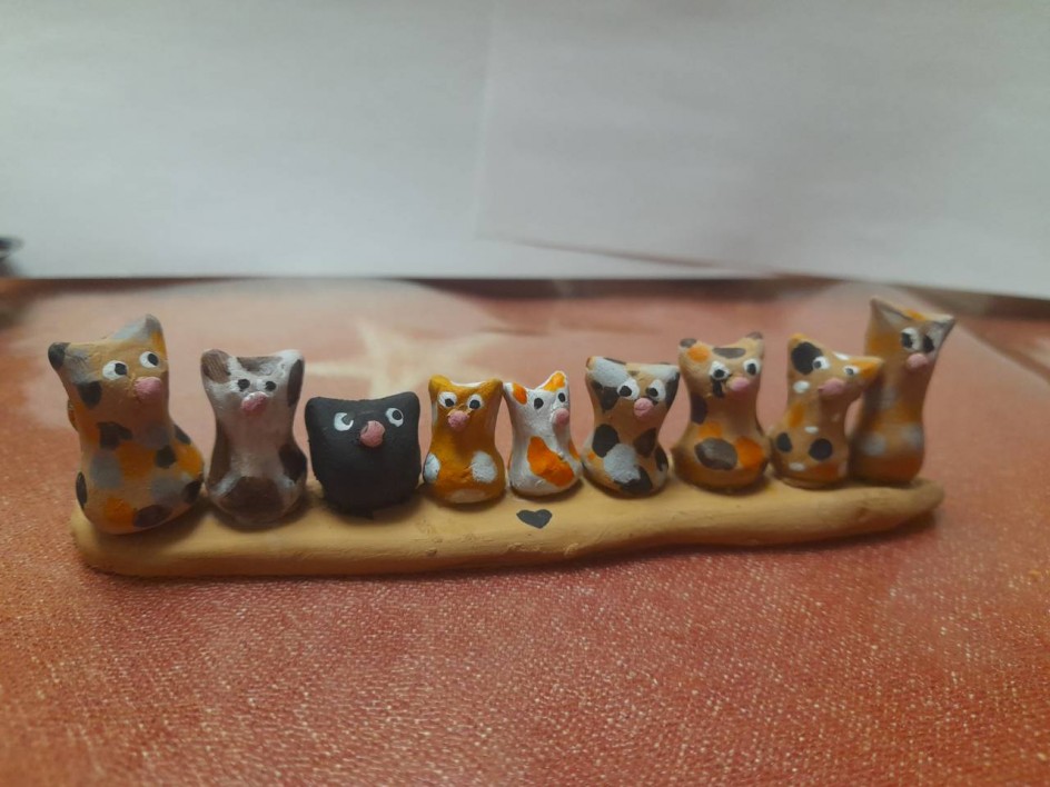 Мои весёлые котята
