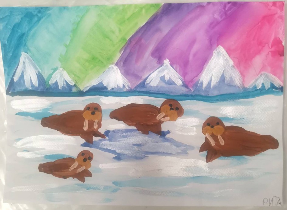 Моржи