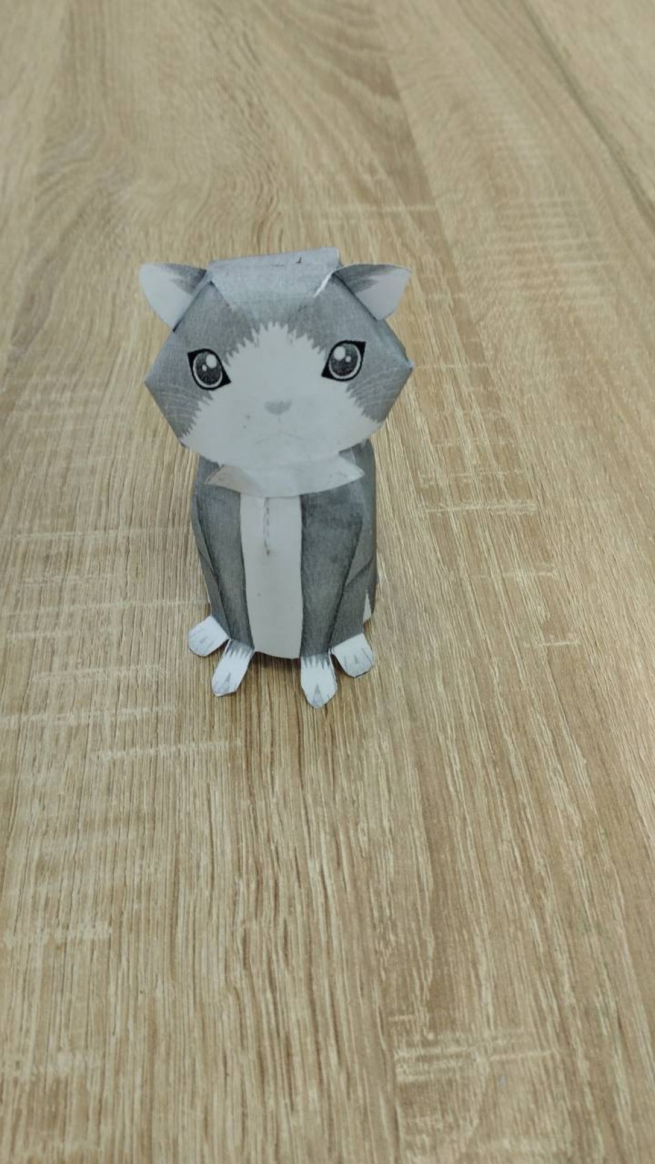 "Кот"
