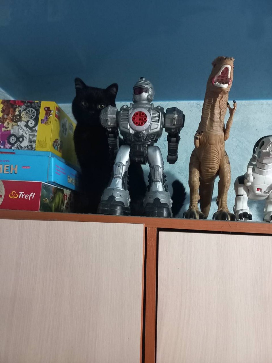 Высоко сижу