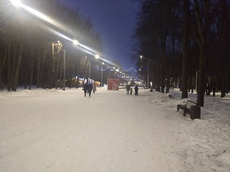 Зимний Лесопарк