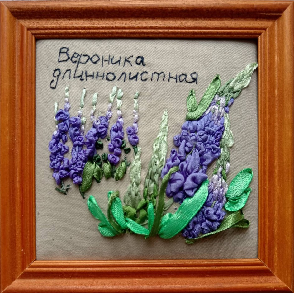 Картинка с цветами вероники для мамы в подарок