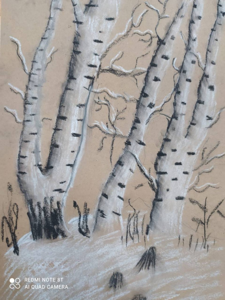 Березы