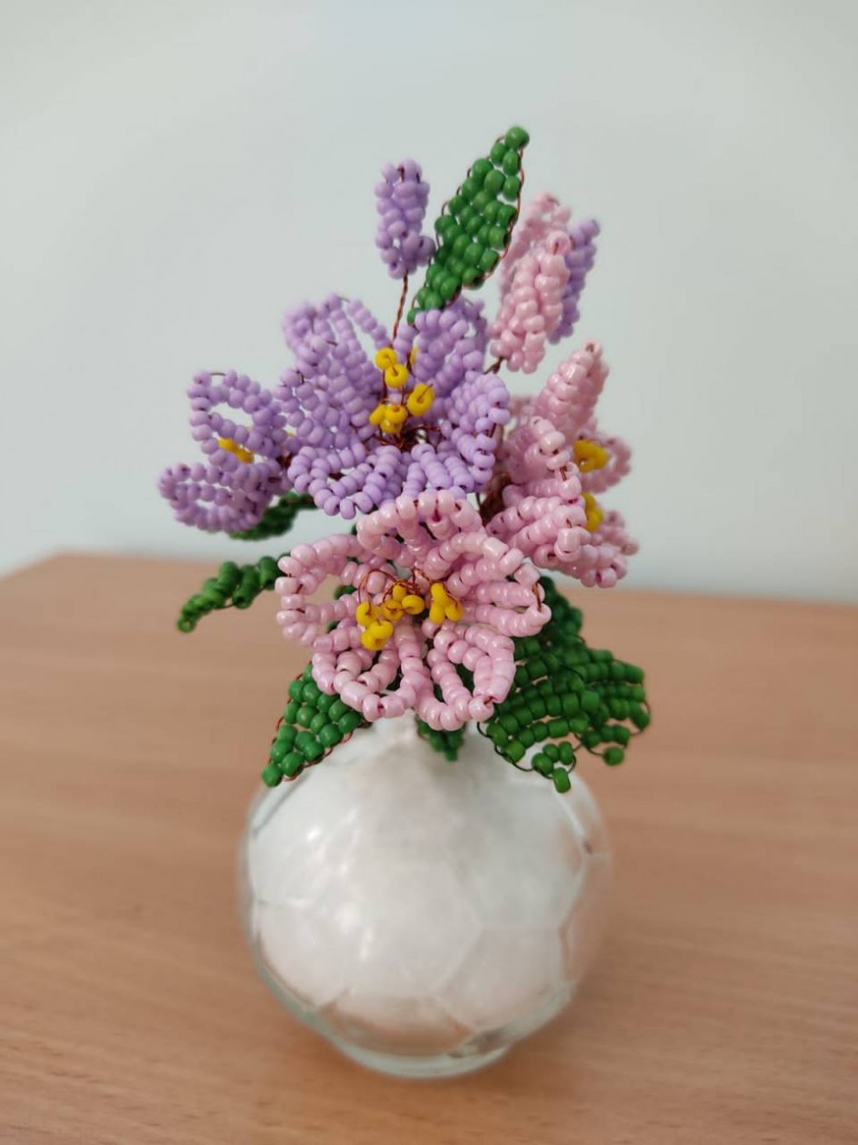 Фиалки